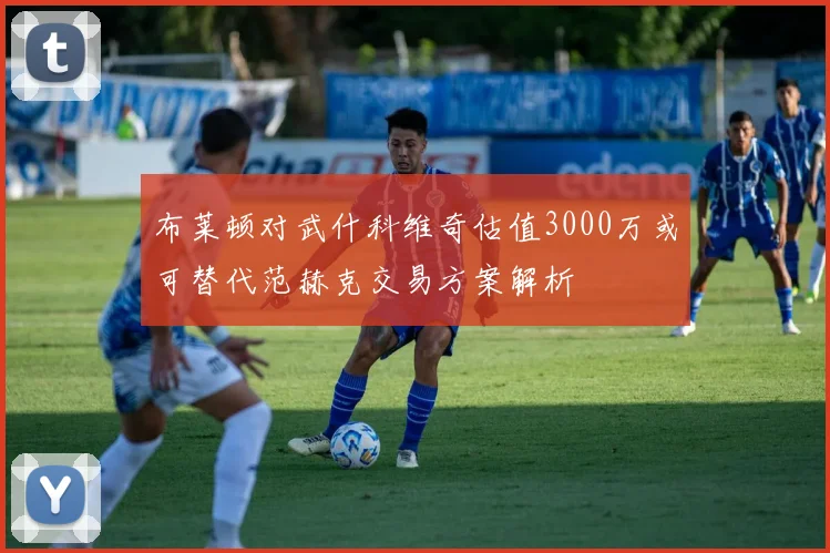 布莱顿对武什科维奇估值3000万或可替代范赫克交易方案解析