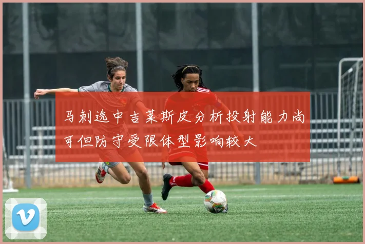 马刺选中吉莱斯皮分析投射能力尚可但防守受限体型影响较大