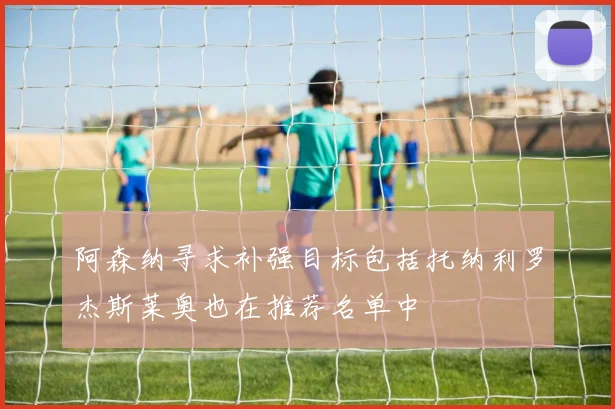 阿森纳寻求补强目标包括托纳利罗杰斯莱奥也在推荐名单中